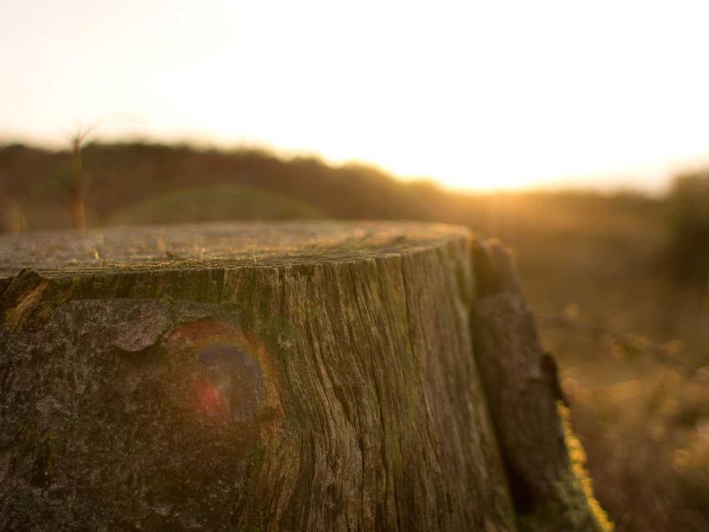 sudoku timer mode screenshot 3